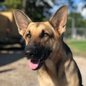 Meet your Posher, Ramiro